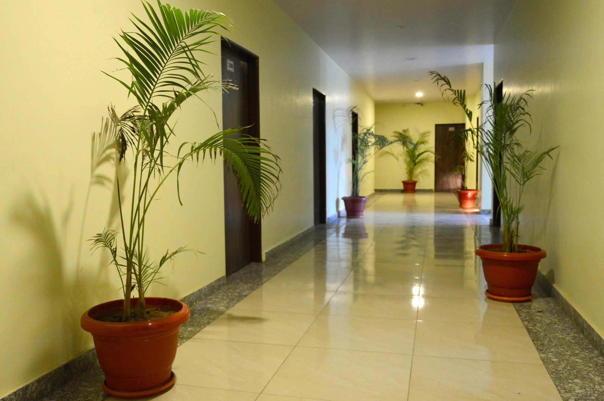 Oyo 6697 Hotel Green Lemon Jaipur Bagian luar foto
